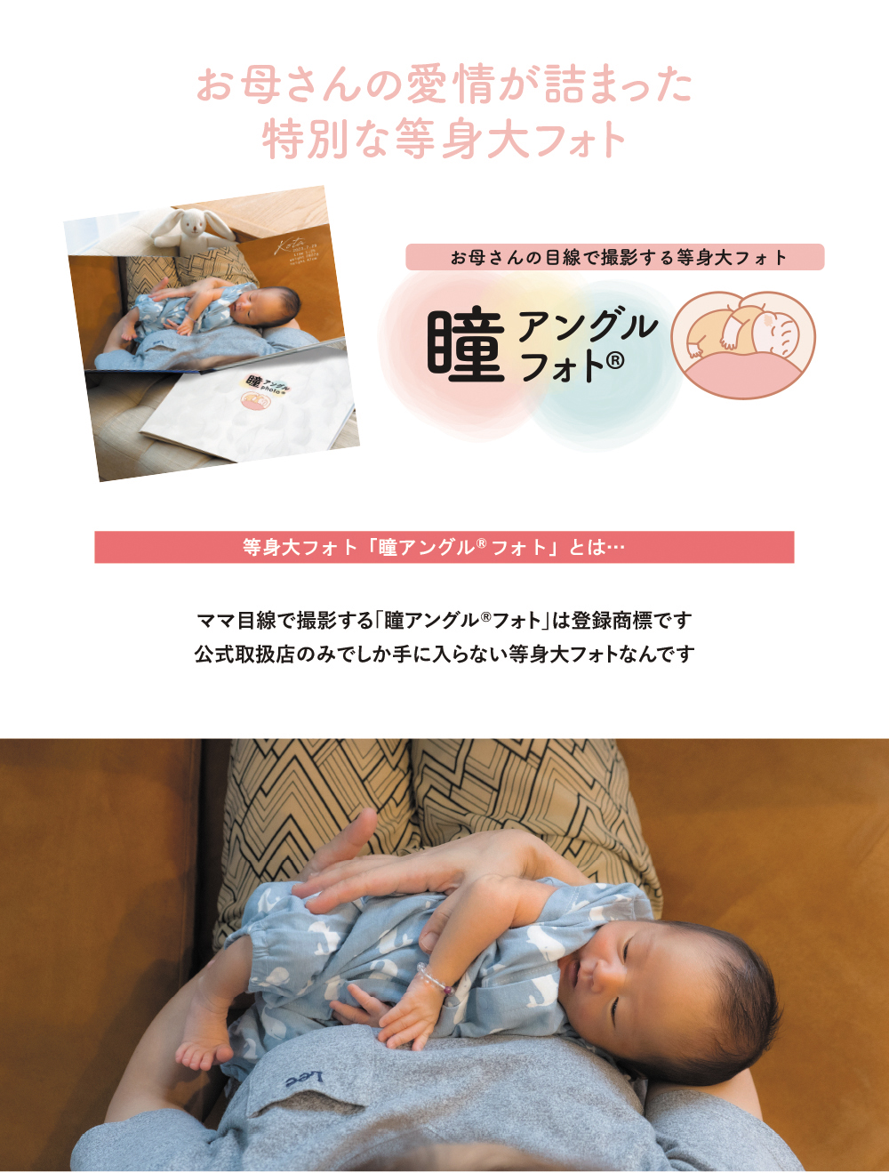 ポムリス 等身大フォト