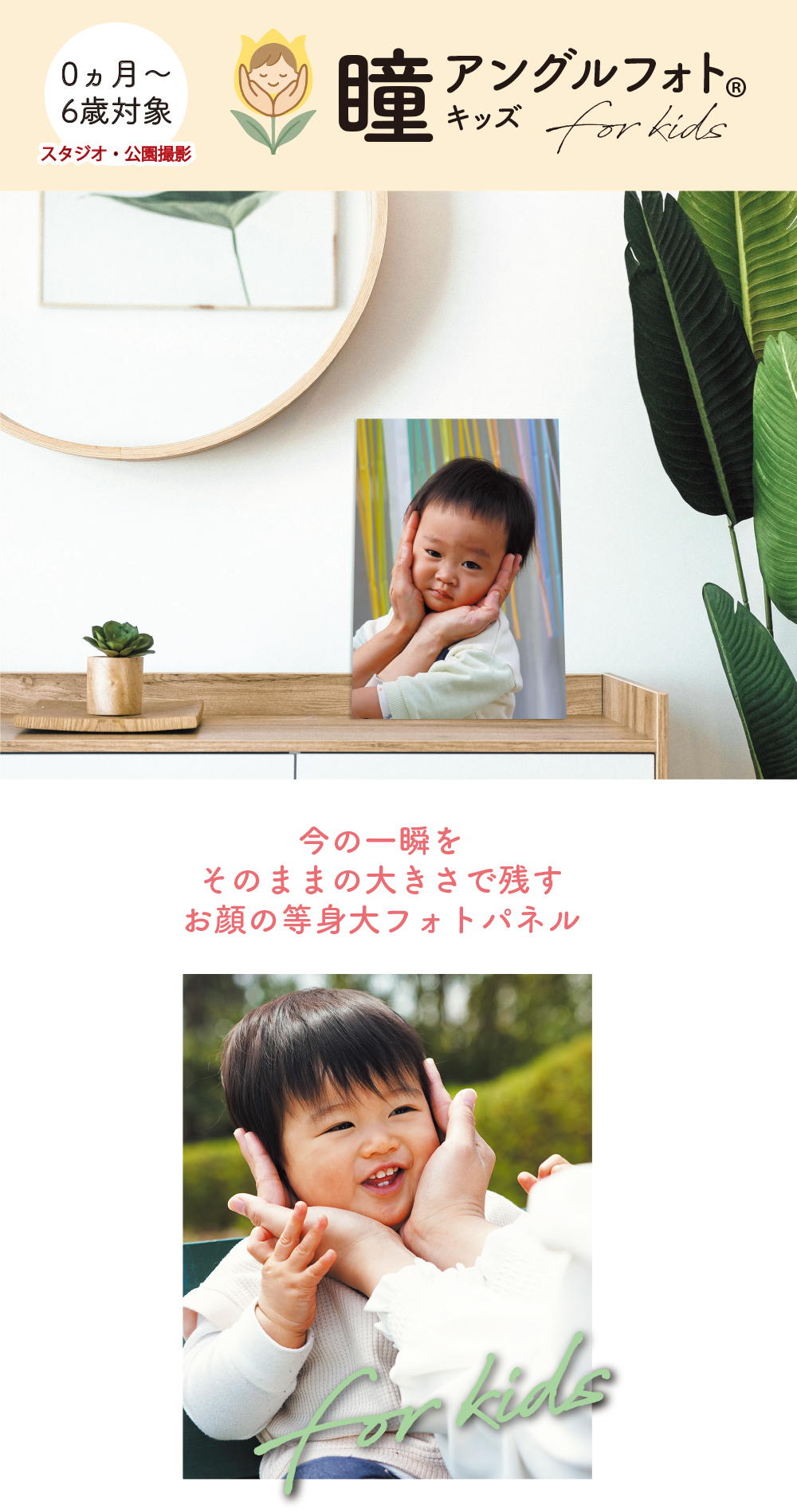 ポムリス 等身大フォト